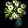 菊花花束