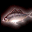 發紅光的魚