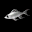 鱈魚