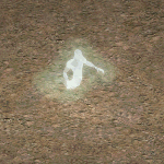 鬼魂