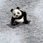 高等貓熊