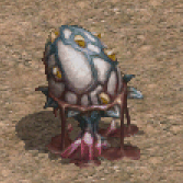 蛋