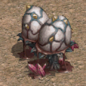 蛋