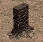 wall