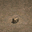 treasure chest