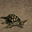 地底巨王龜