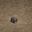 magic box left npc