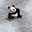 高等貓熊