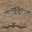 底比斯 尼荷斯